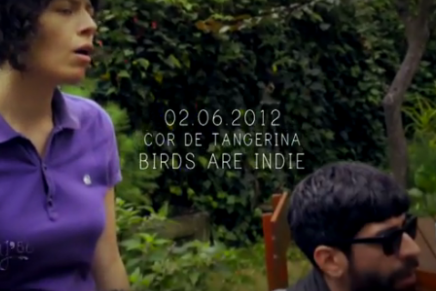 1 Minuto: Birds Are Indie