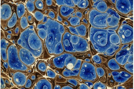 C-Thru microFEST @Pëste Braga