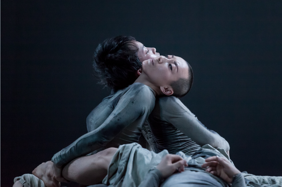 Créditos fotográficos © Darshan Manakkal