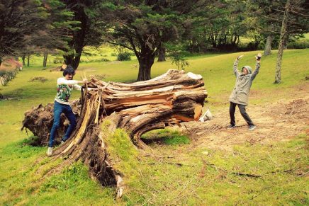 Nite Jewel, Memória de Peixe e Bruxas/Cobras no Mucho Flow